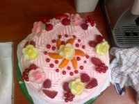 /album/fenykepgaleria/a136038-493132987384818-1367690425-o-jpg/